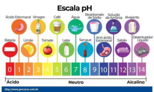 Como regar o solo?